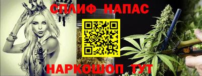 прущие крисы Кулебаки