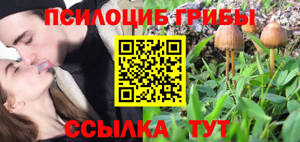 Галлюциногенные грибы ЛСД  Вход с VPN  Галлюциногенные грибы Psilocybine cubensis  Янаул 