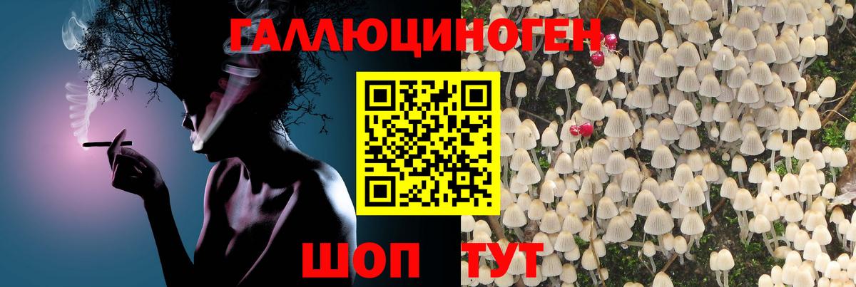 Псилоцибиновые грибы Magic Shrooms Янаул